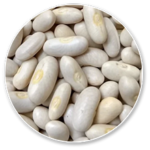 White Kidney Bean